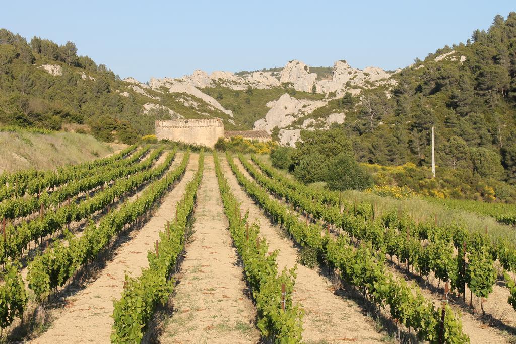 La Montagute Villa Thezan-des-Corbieres ภายนอก รูปภาพ
