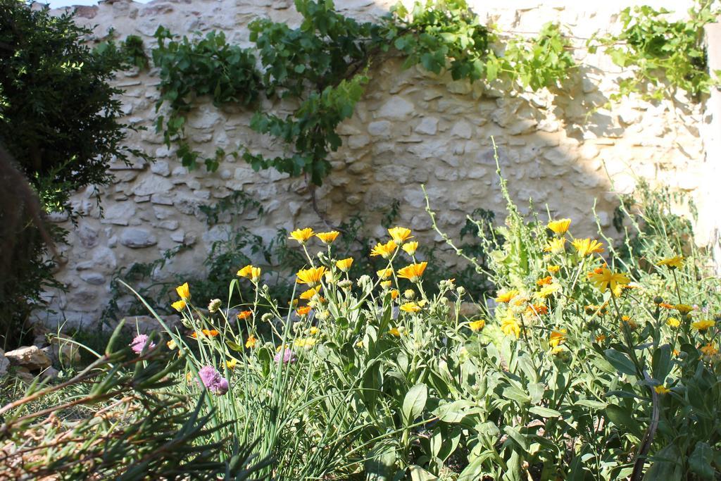La Montagute Villa Thezan-des-Corbieres ภายนอก รูปภาพ